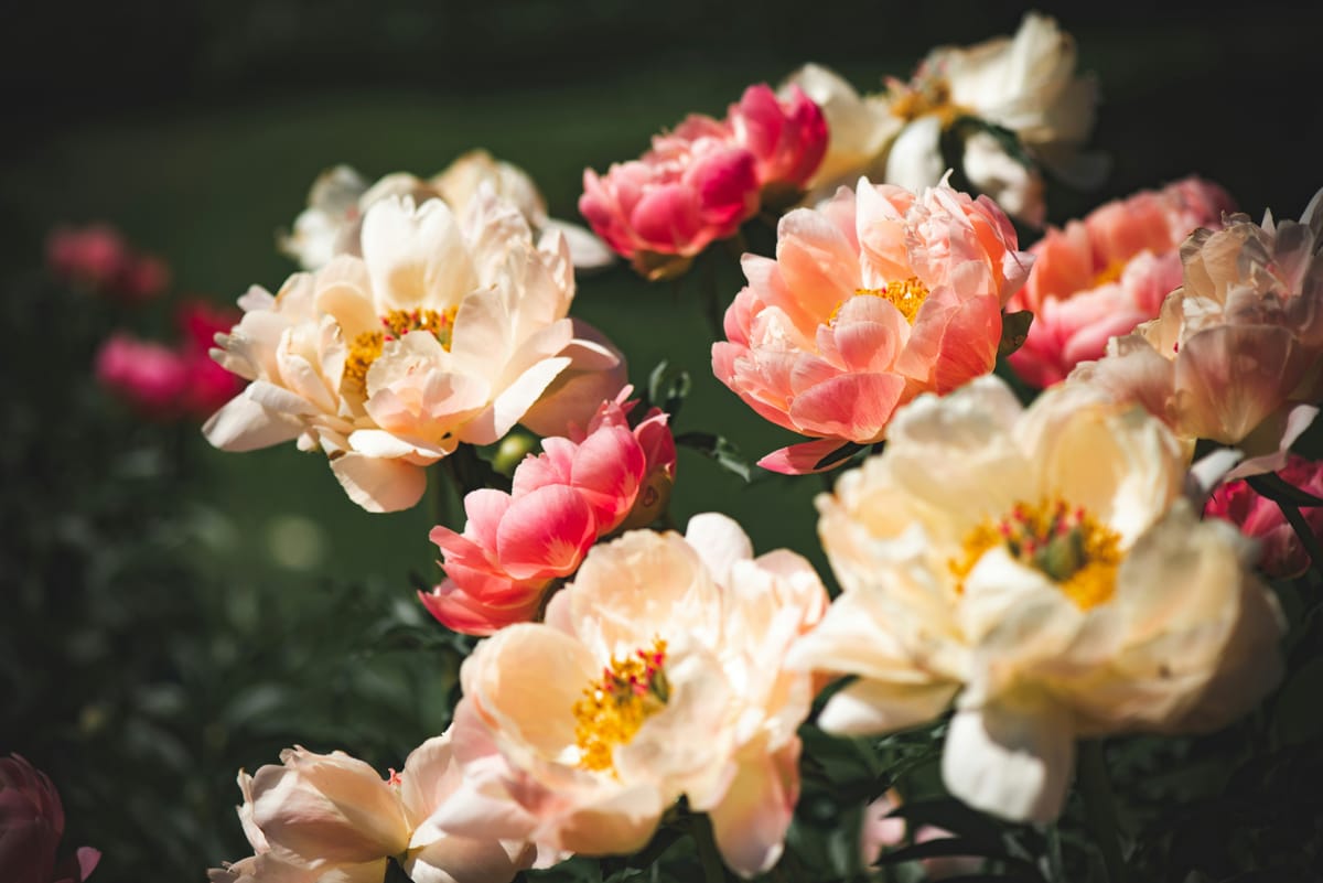 19 Revelations from the Lord During 14 Days of Fasting