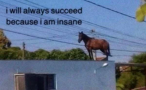 The Greatest Risk in Life is Not to Take Risk